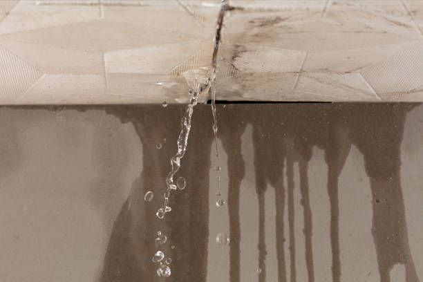 Professional Water Damage Repair technician working in Highlands, CA